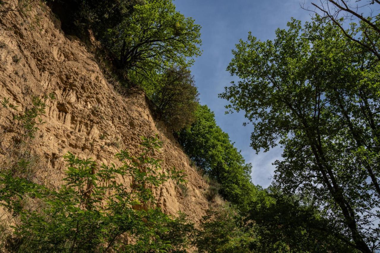 Il Giaggiolo Villa Reggello Eksteriør bilde